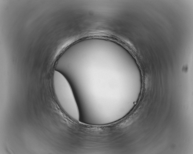 X0000089671405200706210742