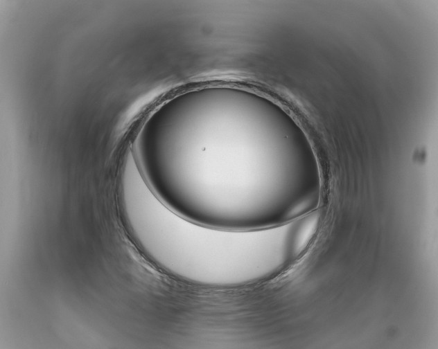 X0000089671406200706210742