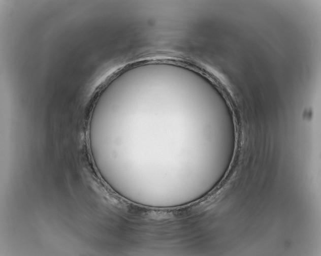 X0000089671407200706210742