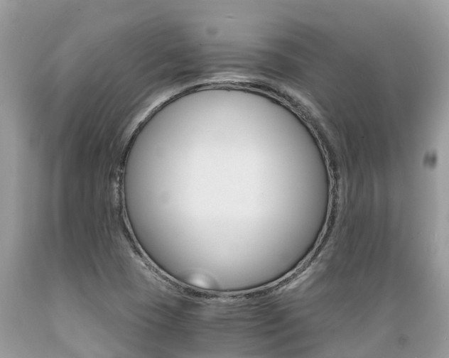 X0000089671409200706210742