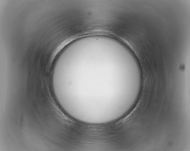 X0000089671410200706210742