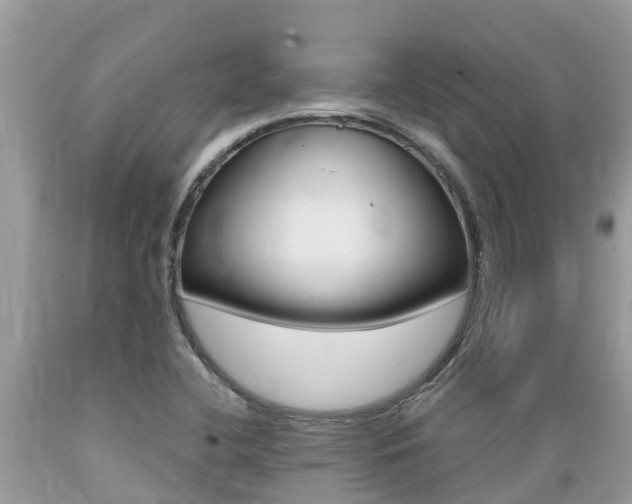 X0000089671412200706210742