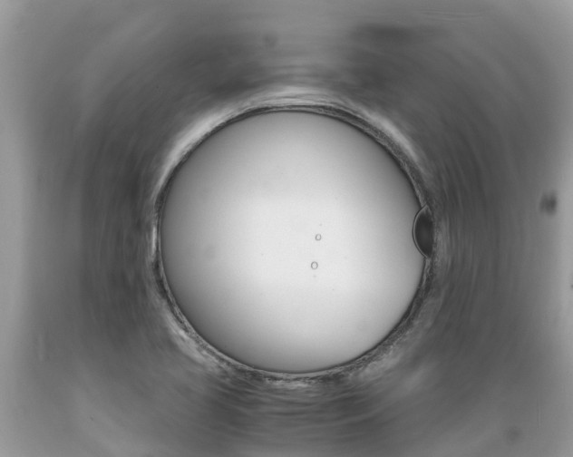 X0000089671413200706210742