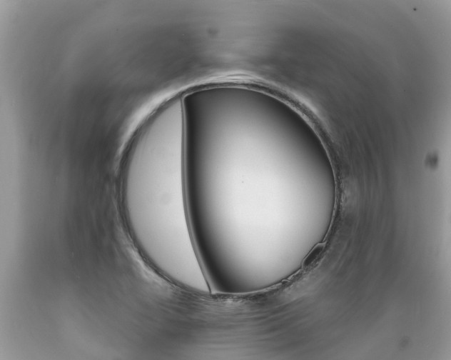 X0000089671414200706210742