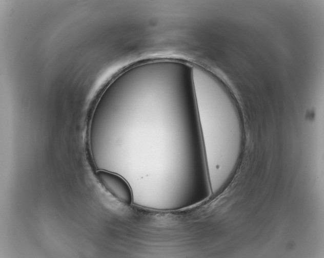 X0000089671416200706210742
