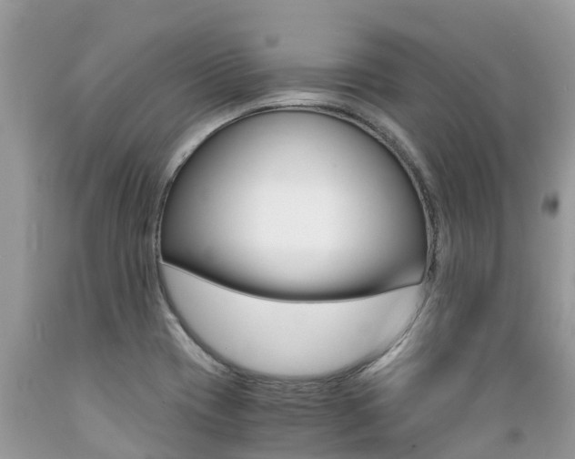 X0000089671417200706210742
