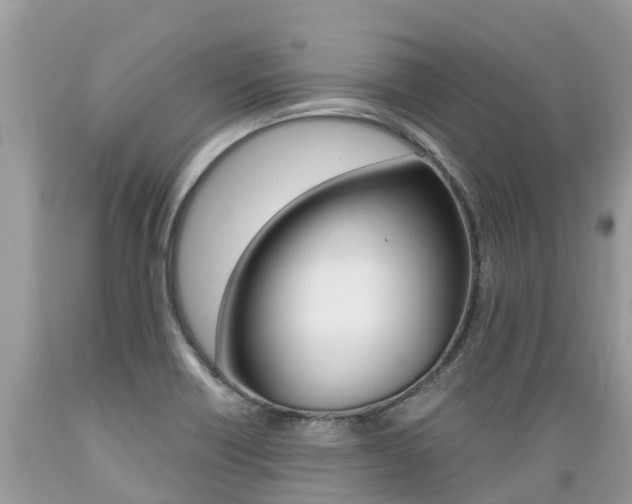X0000089671418200706210742