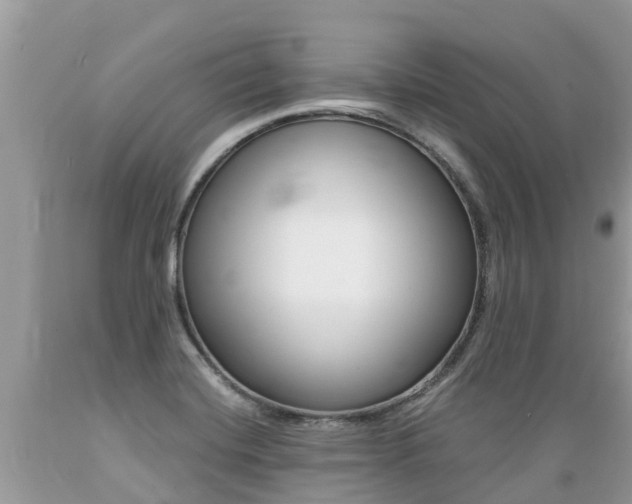 X0000089671420200706210742