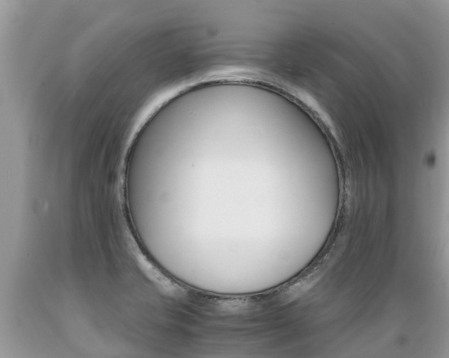 X0000089671421200706210742