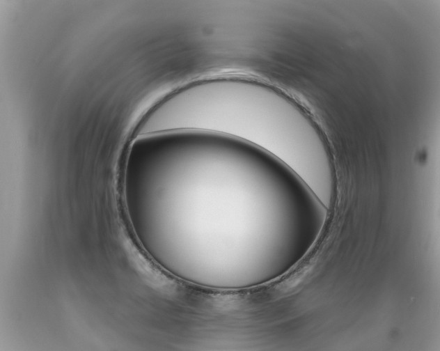 X0000089671422200706210742