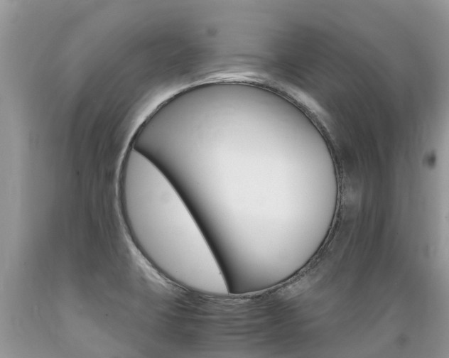 X0000089671423200706210743