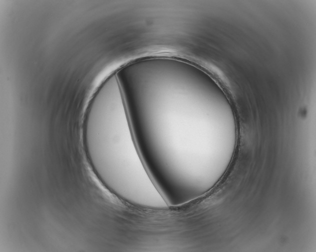 X0000089671424200706210743