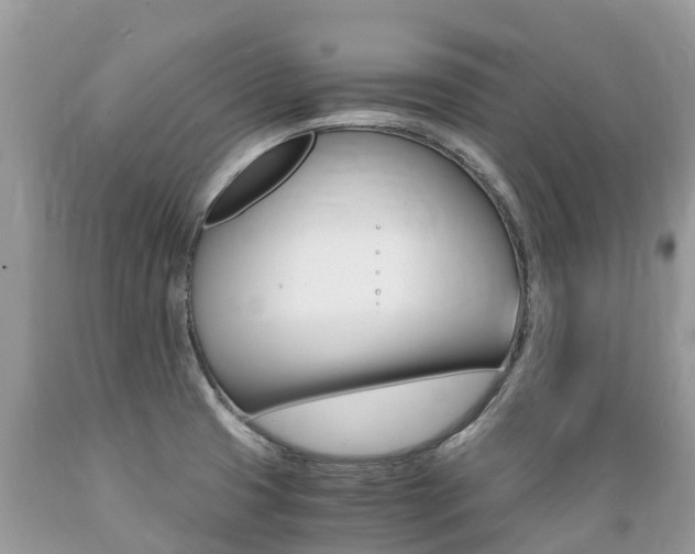 X0000089671425200706210743