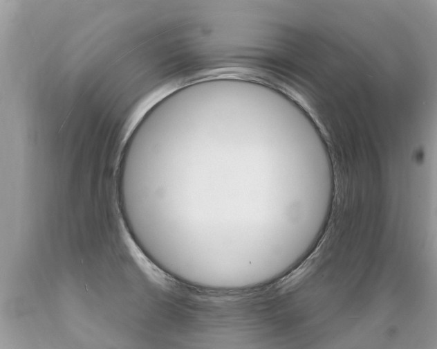 X0000089671426200706210743