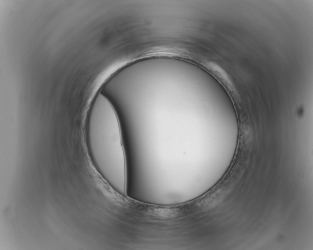 X0000089671427200706210743