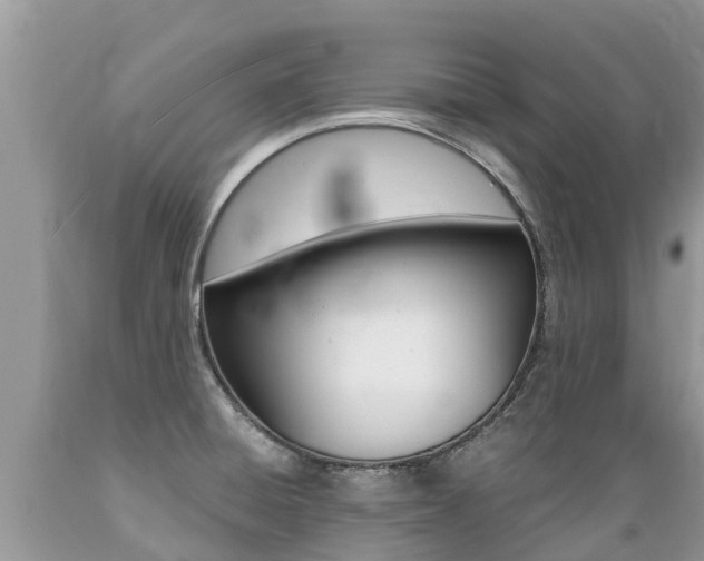 X0000089671428200706210743