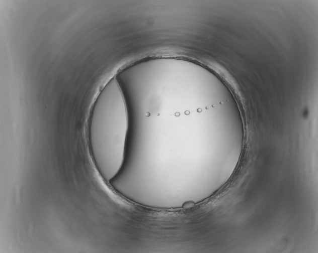 X0000089671429200706210743