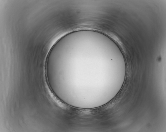 X0000089671431200706210743