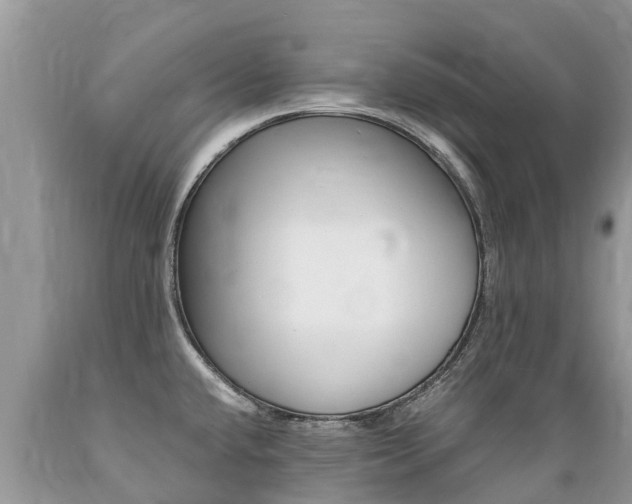 X0000089671432200706210743
