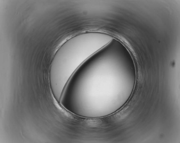 X0000089671433200706210743