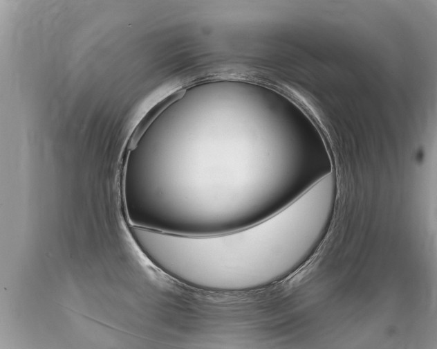 X0000089671434200706210743