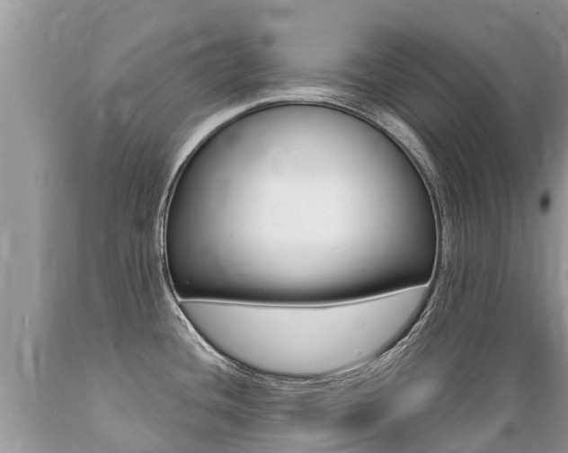 X0000089671436200706210743
