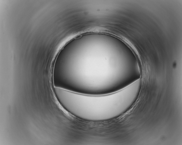 X0000089671437200706210743