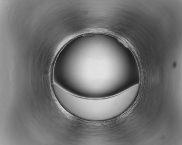 X0000089671438200706210743