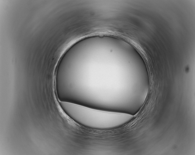 X0000089671439200706210743