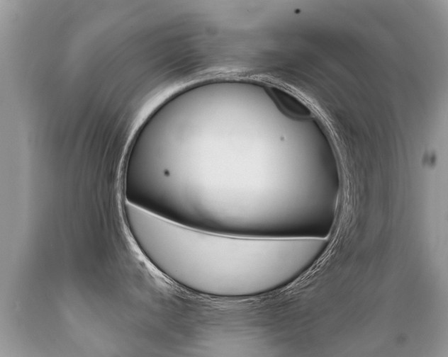 X0000089671440200706210743