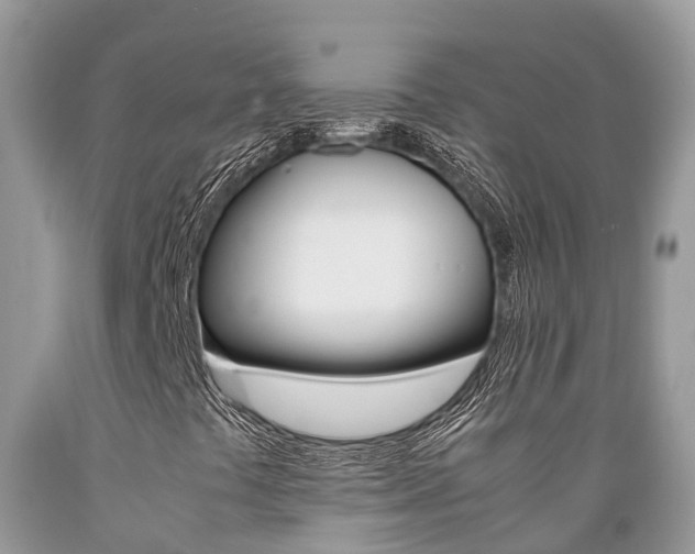 X0000089671441200706210742