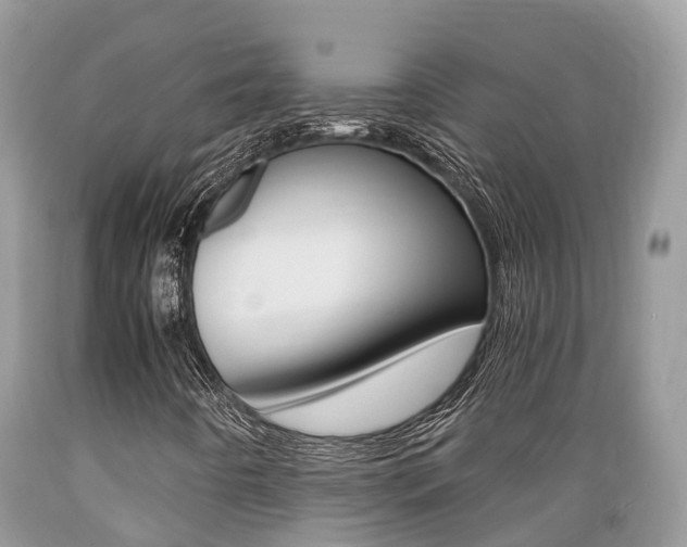 X0000089671442200706210742