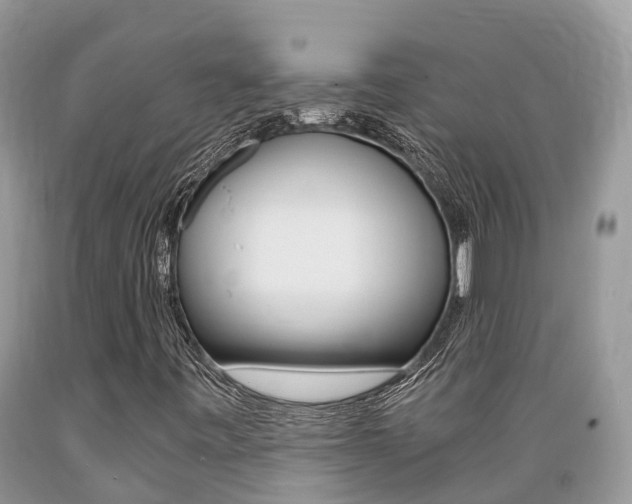 X0000089671443200706210742