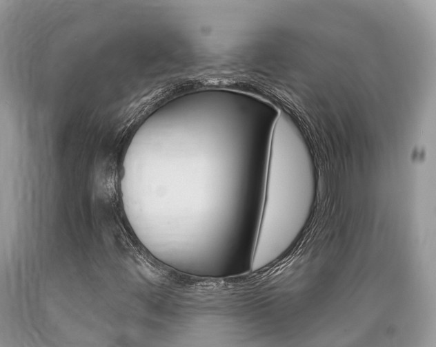 X0000089671444200706210742