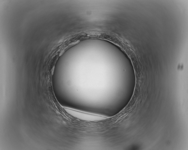 X0000089671445200706210742