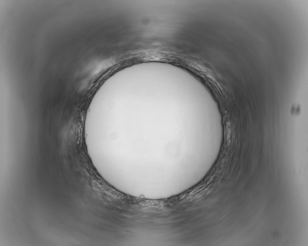 X0000089671446200706210742