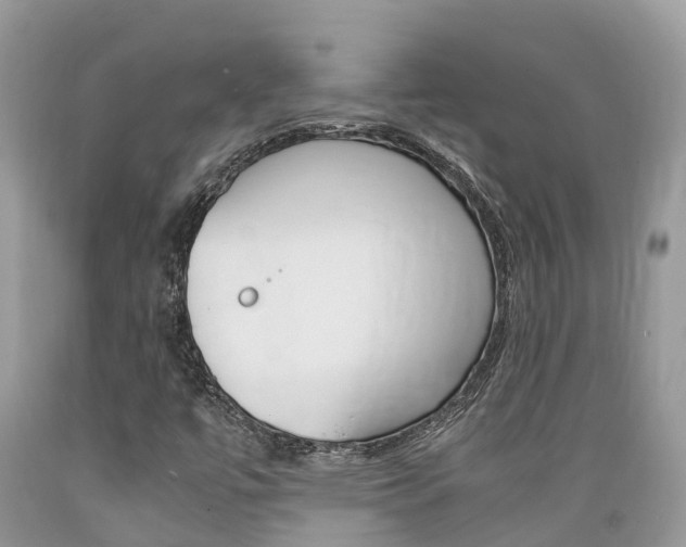 X0000089671447200706210742