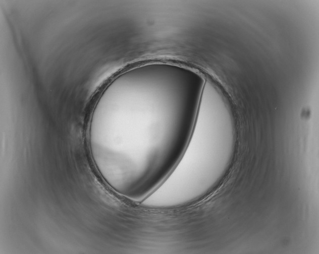 X0000089671452200706210742