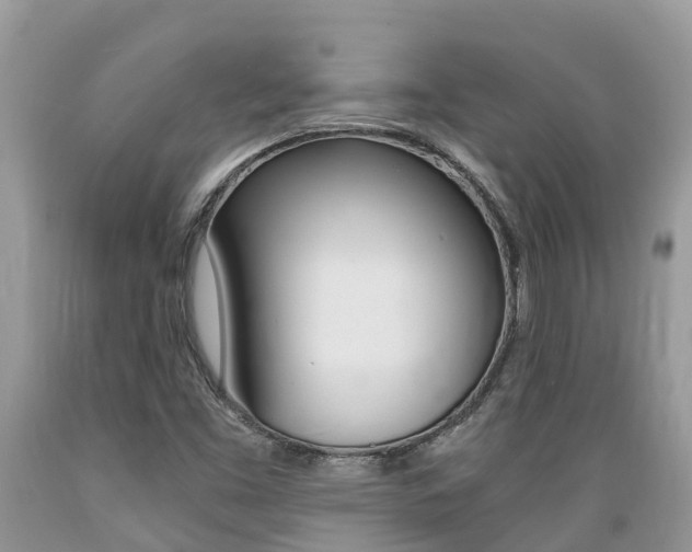 X0000089671453200706210742