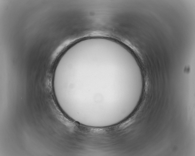 X0000089671454200706210742