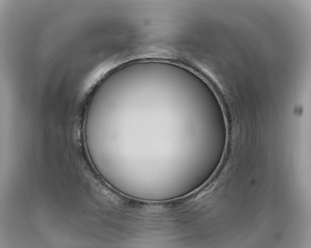 X0000089671455200706210742