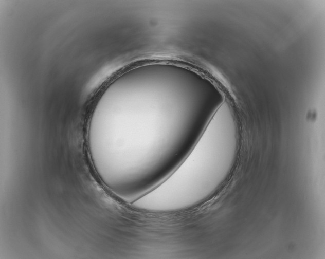 X0000089671456200706210742