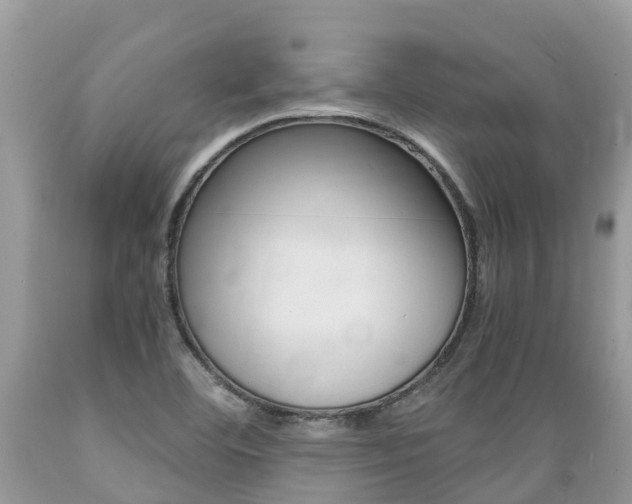 X0000089671460200706210742