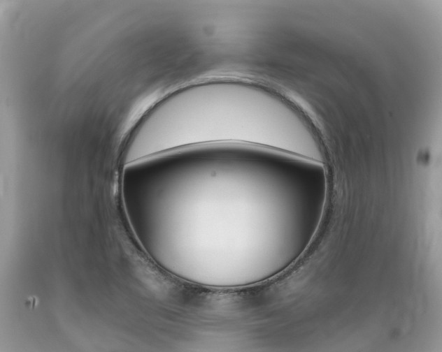 X0000089671461200706210742