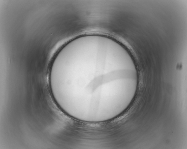 X0000089671462200706210742