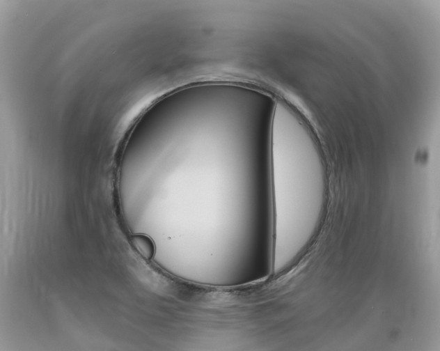 X0000089671463200706210742
