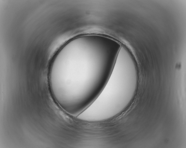 X0000089671464200706210742