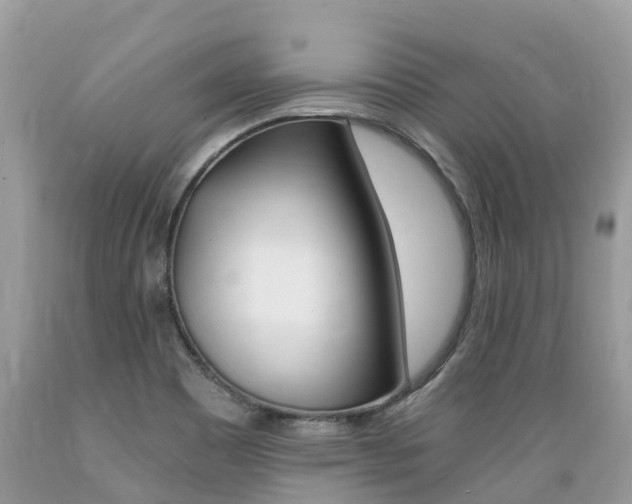 X0000089671465200706210742