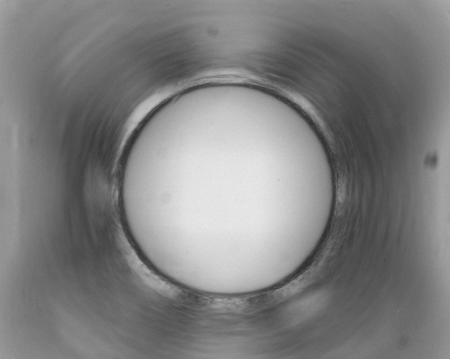X0000089671466200706210742