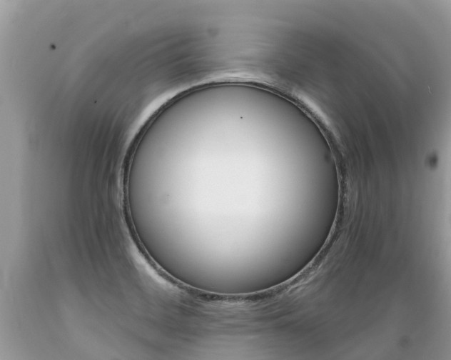 X0000089671468200706210742